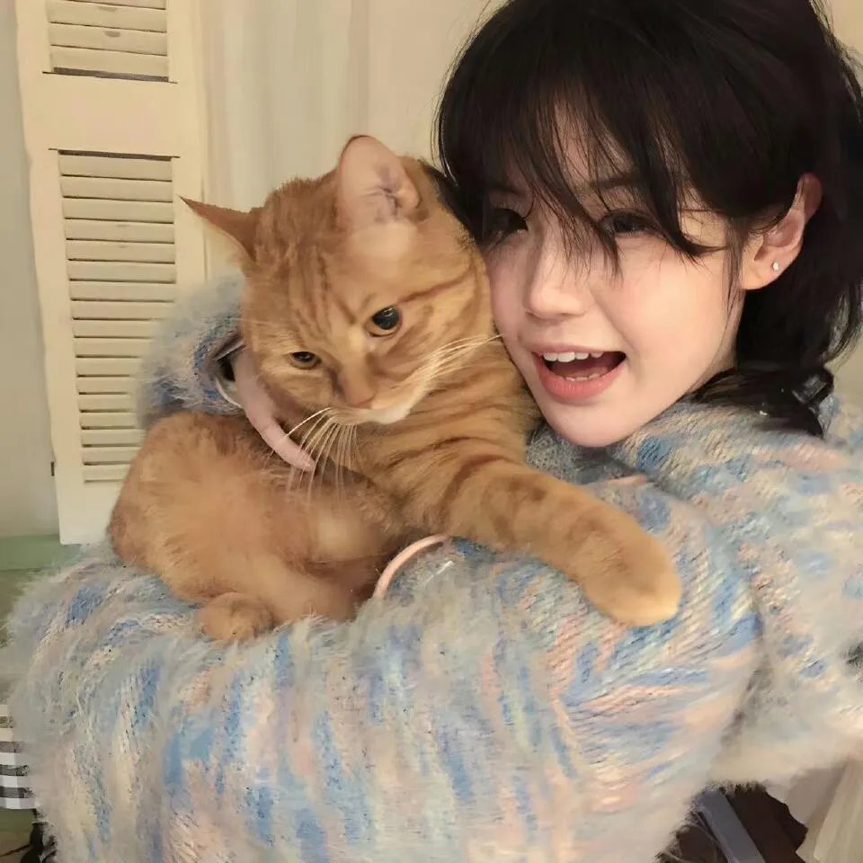 蜜月杀妻案